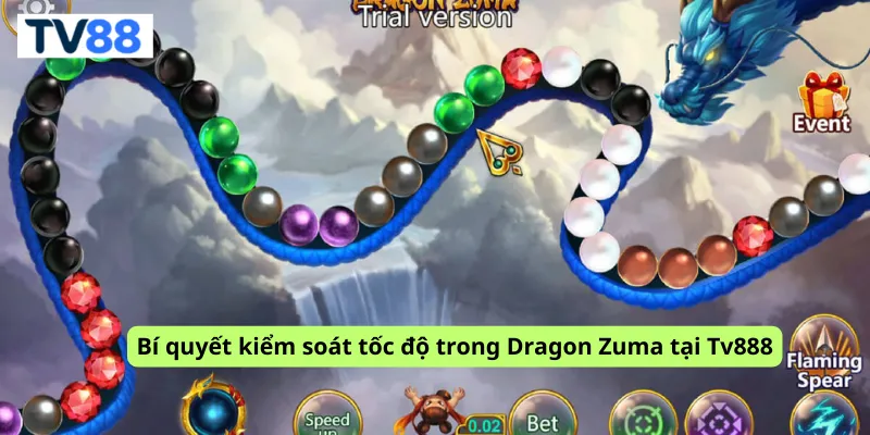 Bí quyết kiểm soát tốc độ trong Dragon Zuma tại Tv888