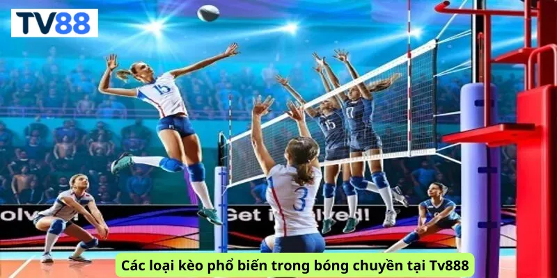 Các loại kèo phổ biến trong bóng chuyền tại Tv888