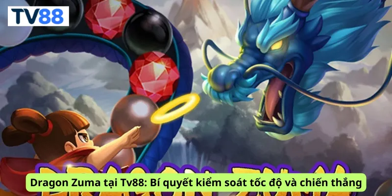 Dragon Zuma tại Tv88: Bí quyết kiểm soát tốc độ và chiến thắng