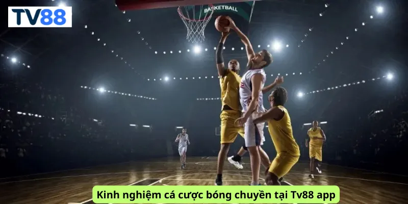 Kinh nghiệm cá cược bóng chuyền tại Tv88 app